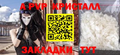 стаф Камышлов