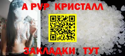 стаф Камышлов