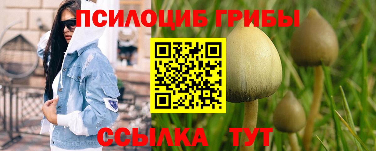 Псилоцибиновые грибы мицелий Донской
